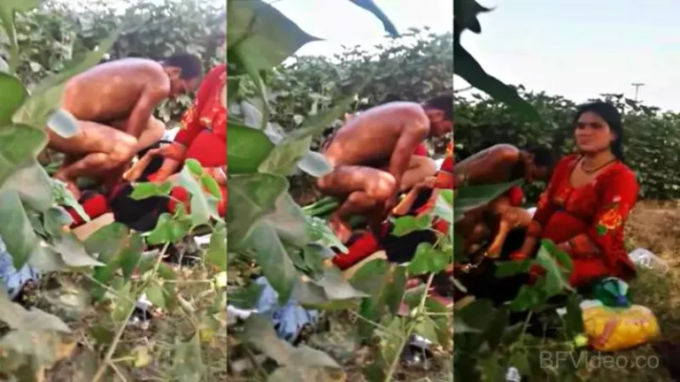 Swapping Couples Hot Dehati Sex Scandal MMS